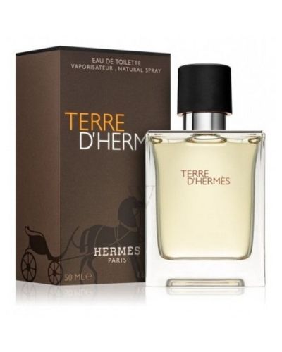 Hermes Terre D'Hermes 50 ML (M) - EDT