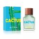 United Dreams Green Cactus 100ml (M) EDT